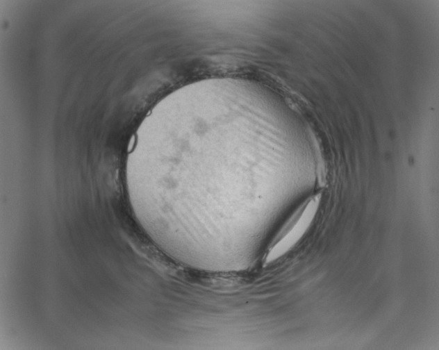 X0000067520615200604281636