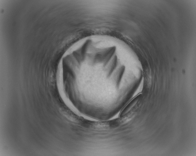 X0000067520619200604281636