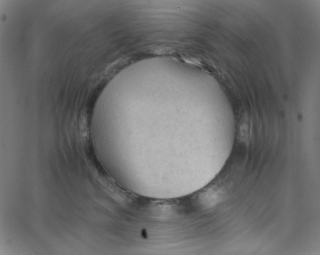 X0000067520620200604281635