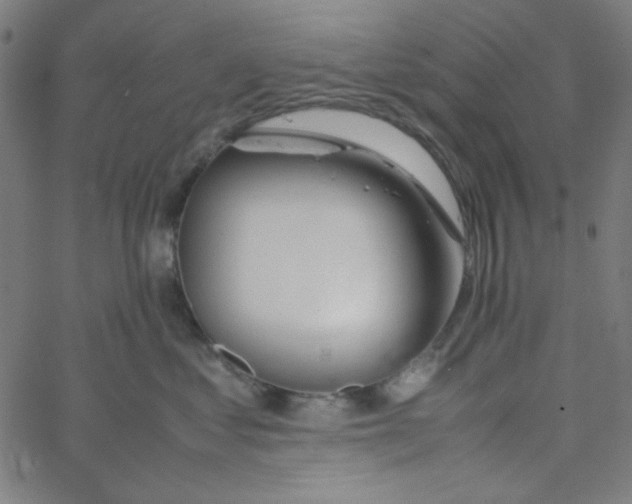 X0000067520621200604281635