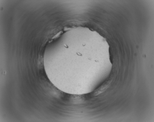 X0000067520624200604281635