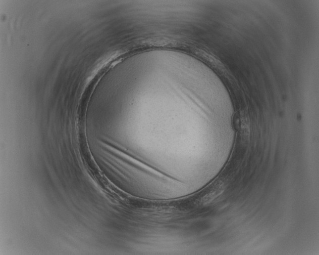 X0000067520626200604281635