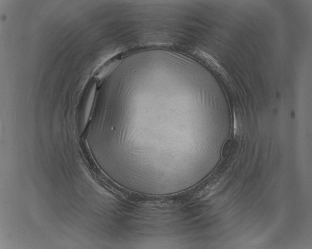 X0000067520627200604281635