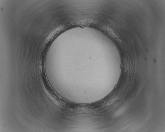 X0000067520634200604281635