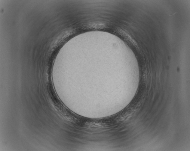 X0000067520635200604281635