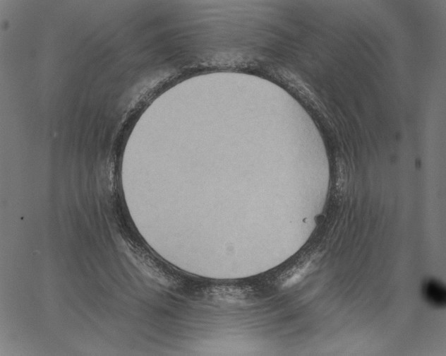 X0000067520636200604281635