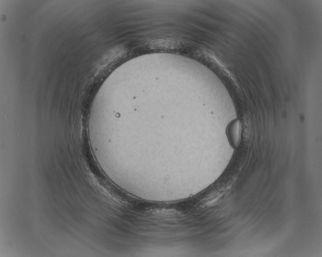 X0000067520637200604281635