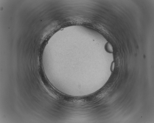 X0000067520638200604281635