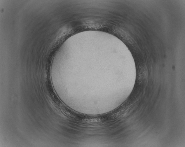 X0000067520639200604281635