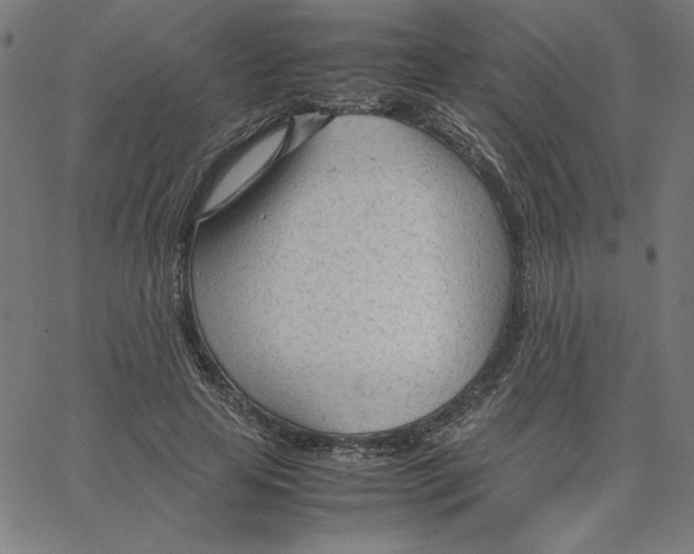 X0000067520641200604281635