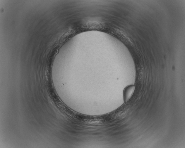 X0000067520643200604281635