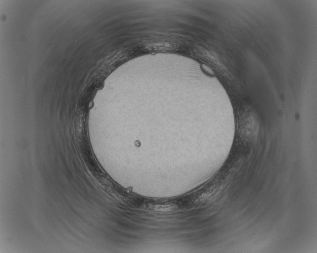 X0000067520645200604281635