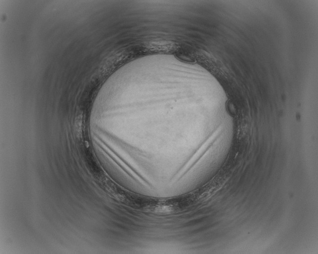 X0000067520647200604281635