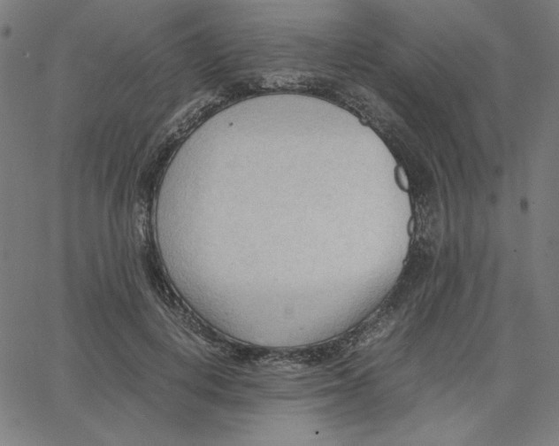 X0000067520648200604281635