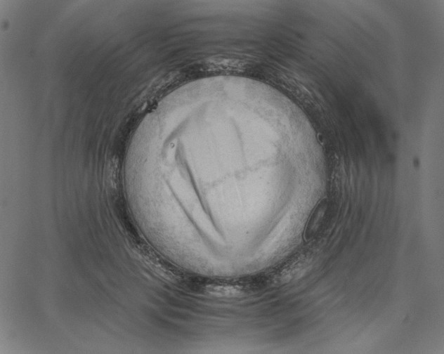 X0000067520649200604281635