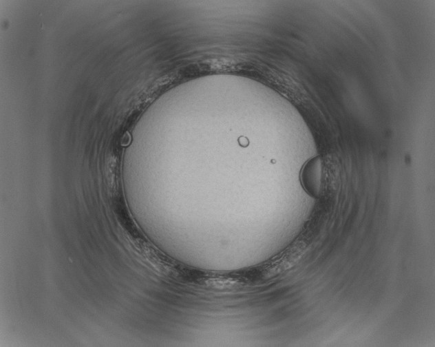 X0000067520650200604281635