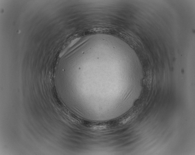 X0000067520653200604281635