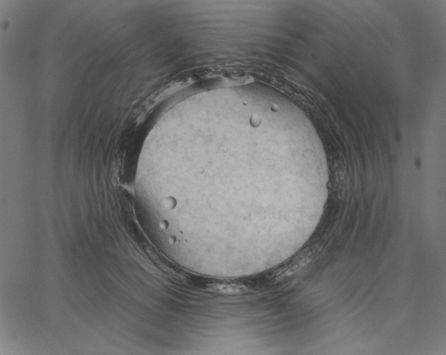 X0000067520654200604281635