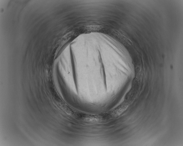 X0000067520655200604281635