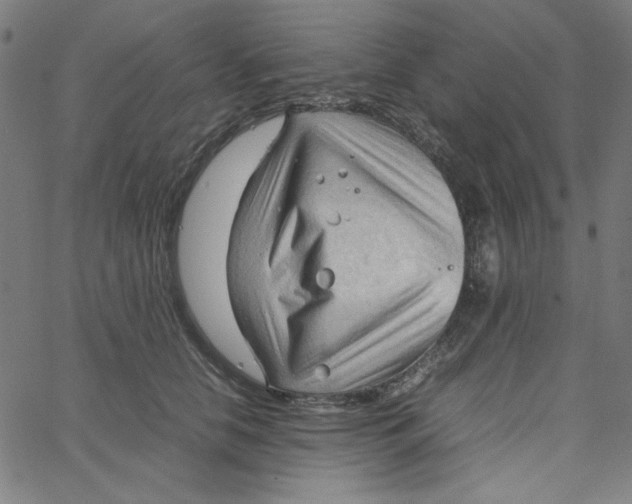 X0000067520658200604281635