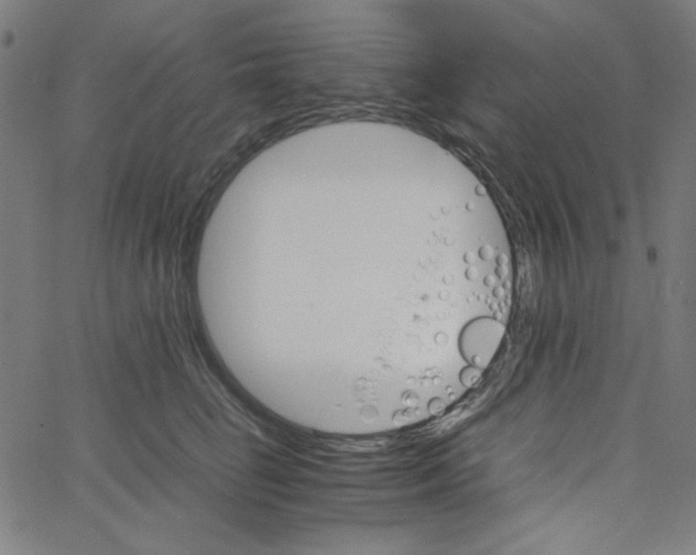 X0000067520662200604281635