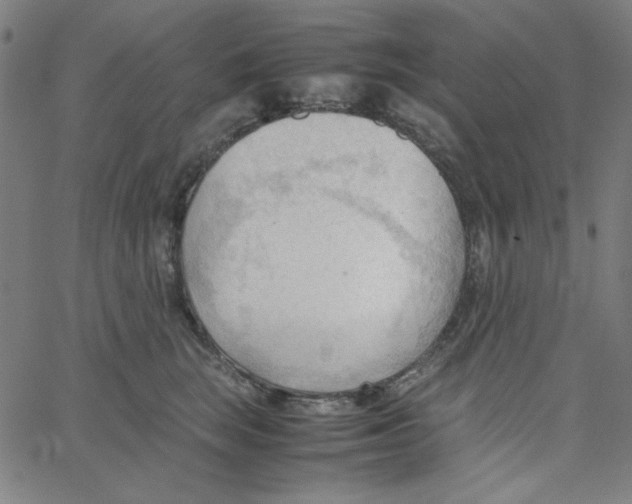 X0000067520663200604281635