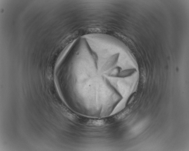 X0000067520665200604281635