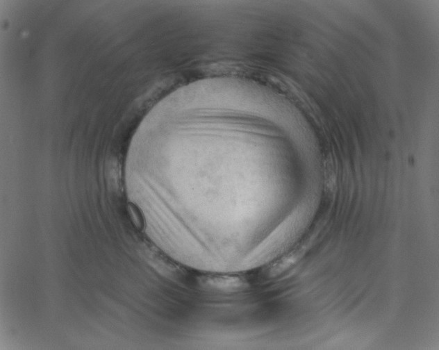 X0000067520669200604281635