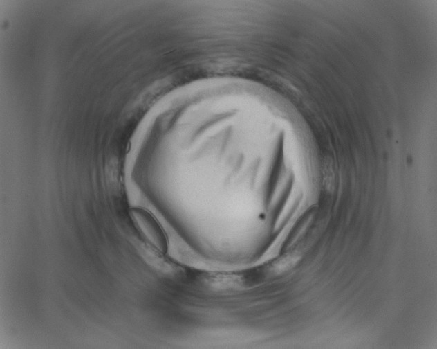 X0000067520670200604281635