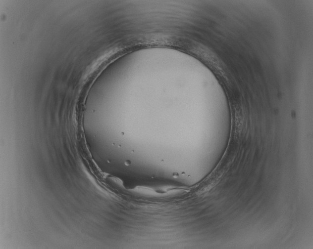 X0000067520674200604281635