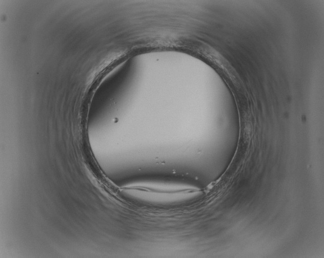 X0000067520677200604281635