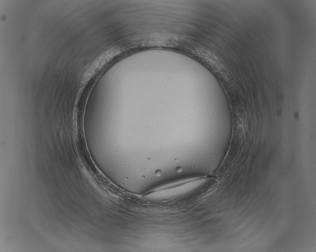 X0000067520678200604281635