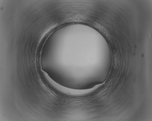 X0000067520680200604281635