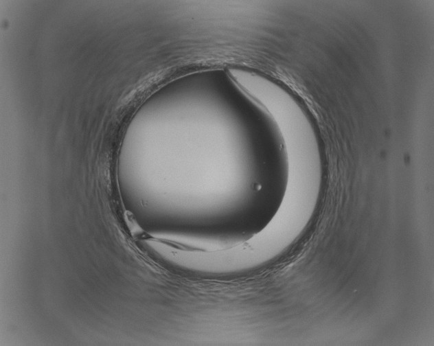 X0000067520681200604281634