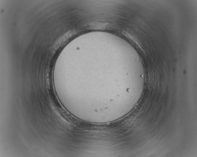 X0000067520682200604281634