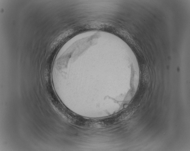 X0000067520683200604281634