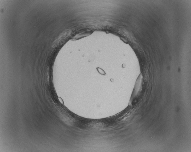 X0000067520685200604281634