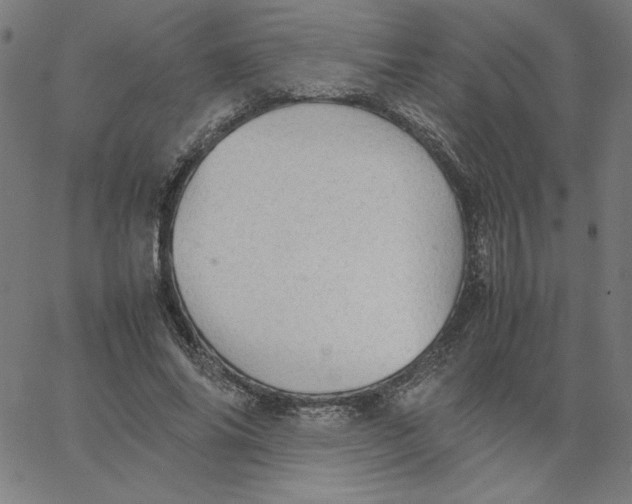 X0000067520686200604281634