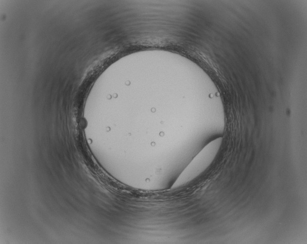 X0000067520688200604281634