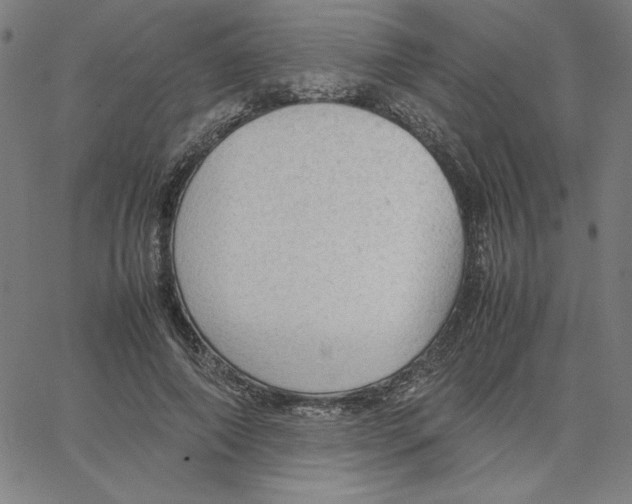 X0000067520690200604281634