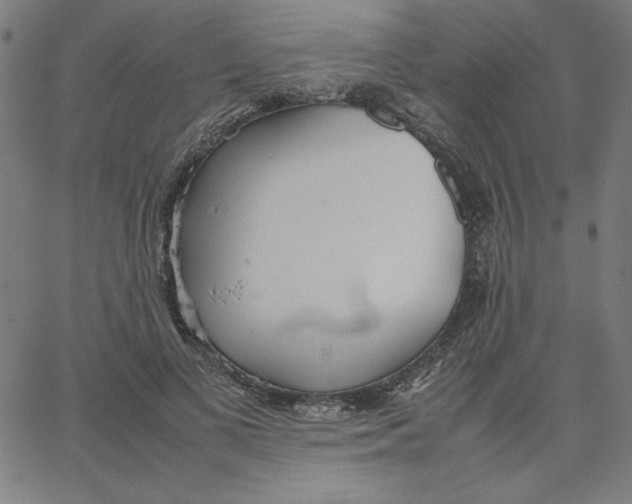 X0000067520693200604281634