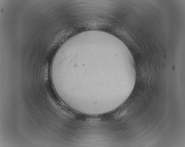 X0000067520694200604281634