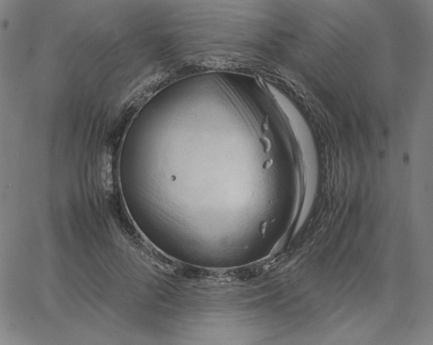 X0000067520696200604281634