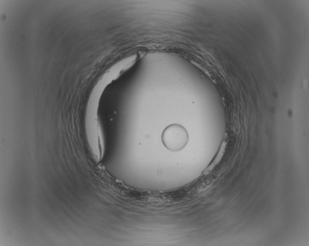 X0000067520697200604281634