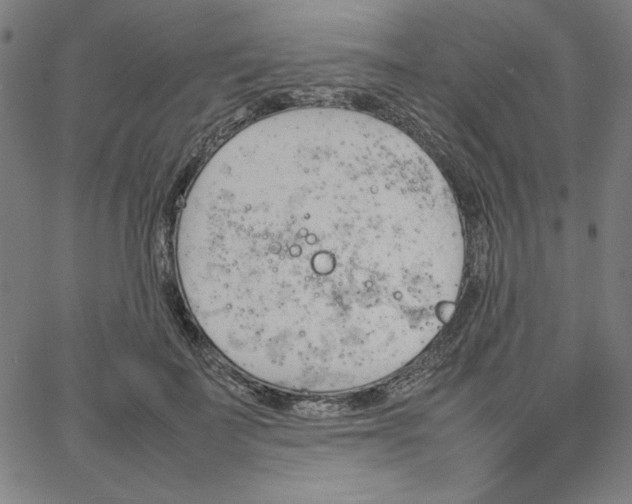 X0000067520699200604281634