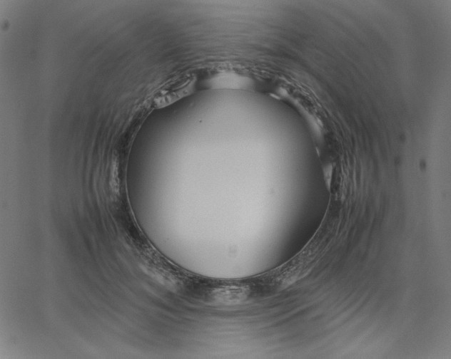 X0000067520700200604281634