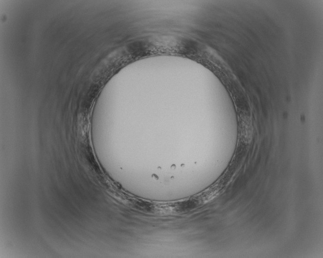 X0000067520701200604281634