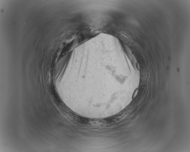 X0000067520703200604281634