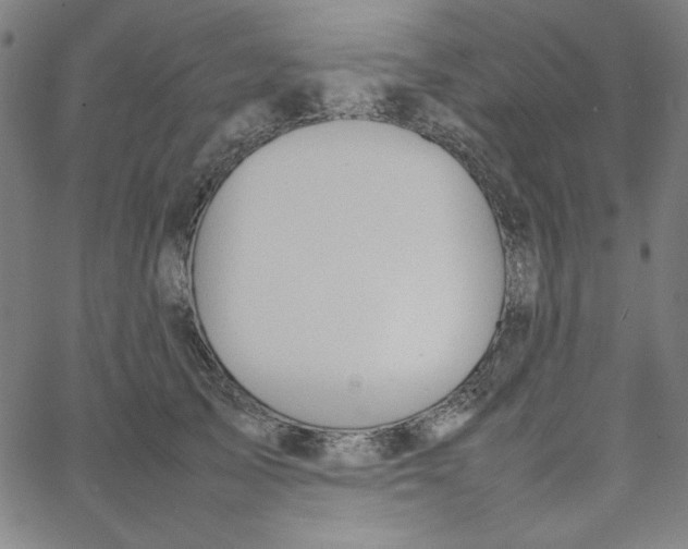 X0000067520705200604281634