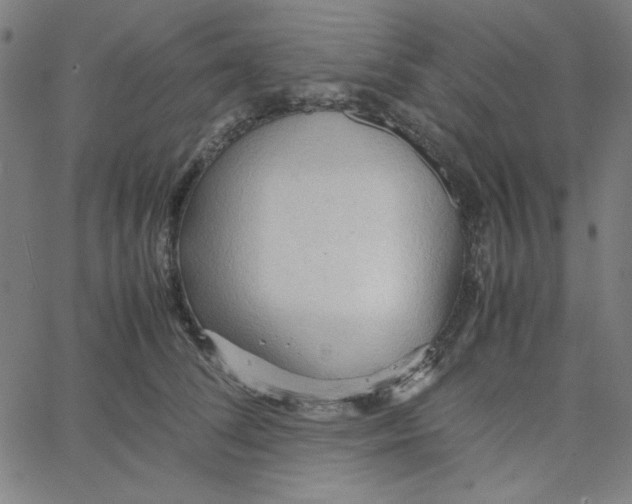 X0000067520708200604281634